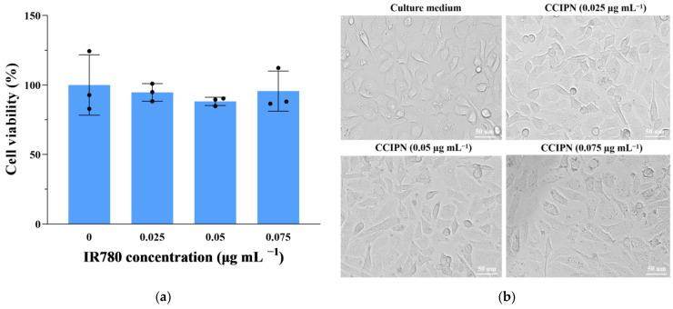https://cdn.ncbi.nlm.nih.gov/pmc/blobs/ce92/10000418/3d5d7ad6f9ba/cancers-15-01576-g009.jpg
