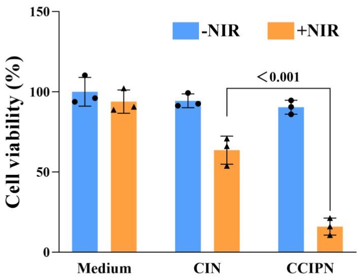 https://cdn.ncbi.nlm.nih.gov/pmc/blobs/ce92/10000418/e9c7c401d648/cancers-15-01576-g012.jpg