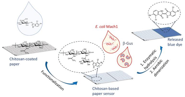 https://cdn.ncbi.nlm.nih.gov/pmc/blobs/ce93/7833396/46f1e8fda929/biosensors-11-00025-g001.jpg