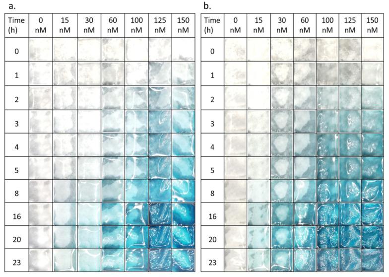 https://cdn.ncbi.nlm.nih.gov/pmc/blobs/ce93/7833396/5f95f9beda8c/biosensors-11-00025-g003.jpg