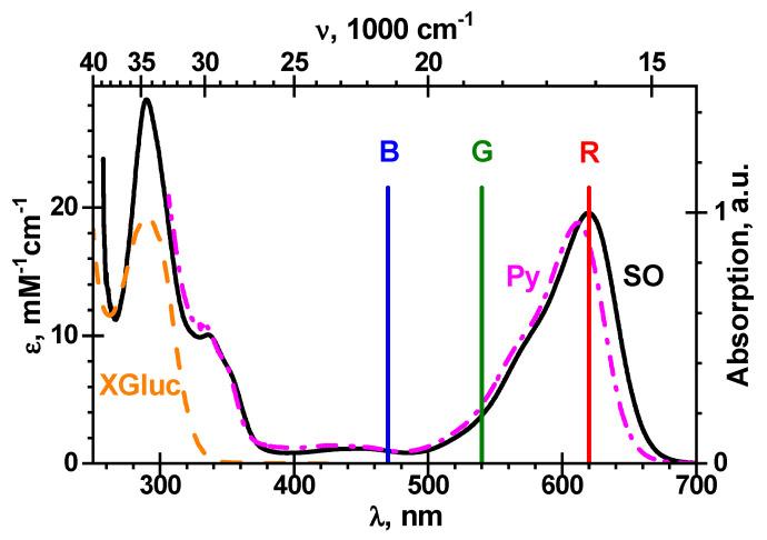 https://cdn.ncbi.nlm.nih.gov/pmc/blobs/ce93/7833396/e9a2e9ceeeb2/biosensors-11-00025-g005.jpg