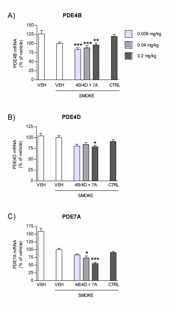 https://cdn.ncbi.nlm.nih.gov/pmc/blobs/ce95/2696437/2dc8d5ec0108/1465-9921-10-39-5.jpg