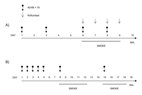 https://cdn.ncbi.nlm.nih.gov/pmc/blobs/ce95/2696437/a48d7ff94fca/1465-9921-10-39-3.jpg