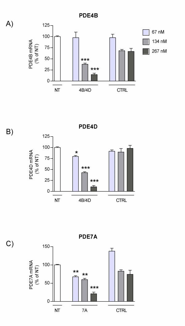 https://cdn.ncbi.nlm.nih.gov/pmc/blobs/ce95/2696437/d3244ac50889/1465-9921-10-39-1.jpg
