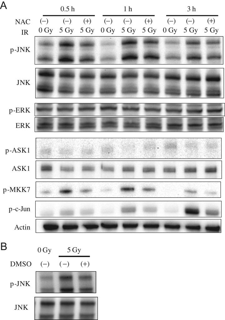 https://cdn.ncbi.nlm.nih.gov/pmc/blobs/ce95/5737079/6910cd84315c/rrx011f04.jpg