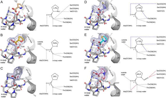 https://cdn.ncbi.nlm.nih.gov/pmc/blobs/ce96/7939384/3796fac6fece/gr5.jpg
