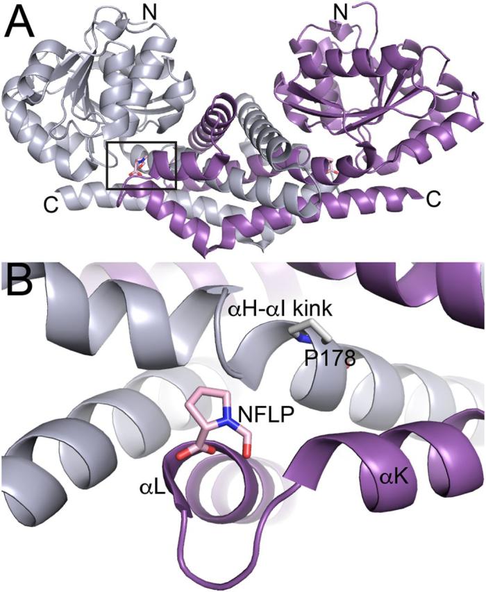 https://cdn.ncbi.nlm.nih.gov/pmc/blobs/ce96/7939384/684412dd6c4e/gr4.jpg