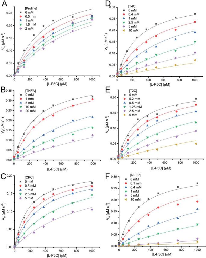 https://cdn.ncbi.nlm.nih.gov/pmc/blobs/ce96/7939384/a13c0091c330/gr3.jpg