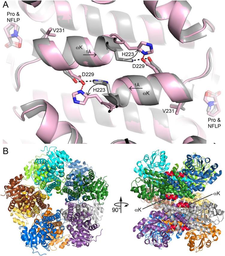 https://cdn.ncbi.nlm.nih.gov/pmc/blobs/ce96/7939384/d51605fb1624/gr6.jpg