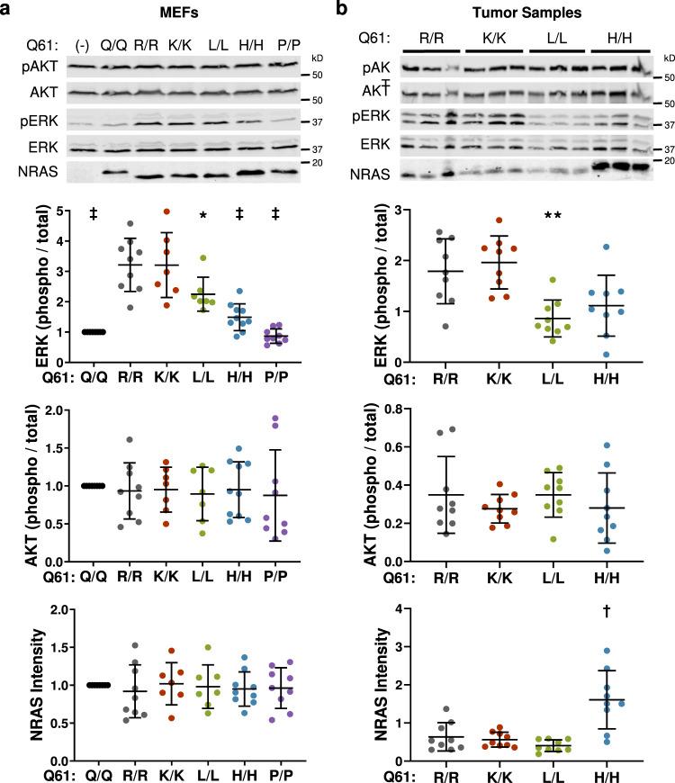 https://cdn.ncbi.nlm.nih.gov/pmc/blobs/ce97/9174180/75e6f92287e0/41467_2022_30881_Fig4_HTML.jpg