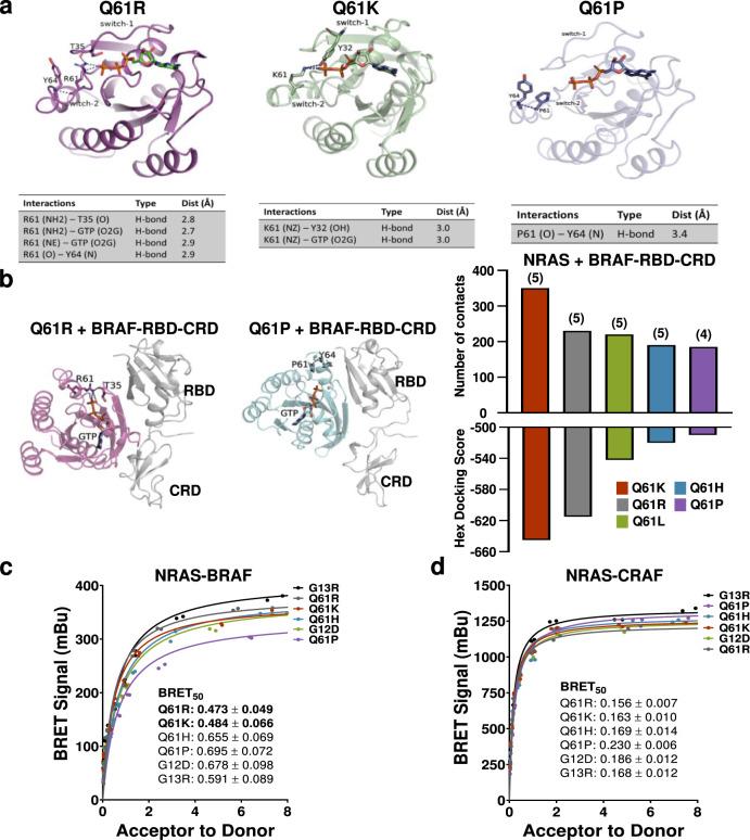 https://cdn.ncbi.nlm.nih.gov/pmc/blobs/ce97/9174180/b4277039c3bb/41467_2022_30881_Fig7_HTML.jpg