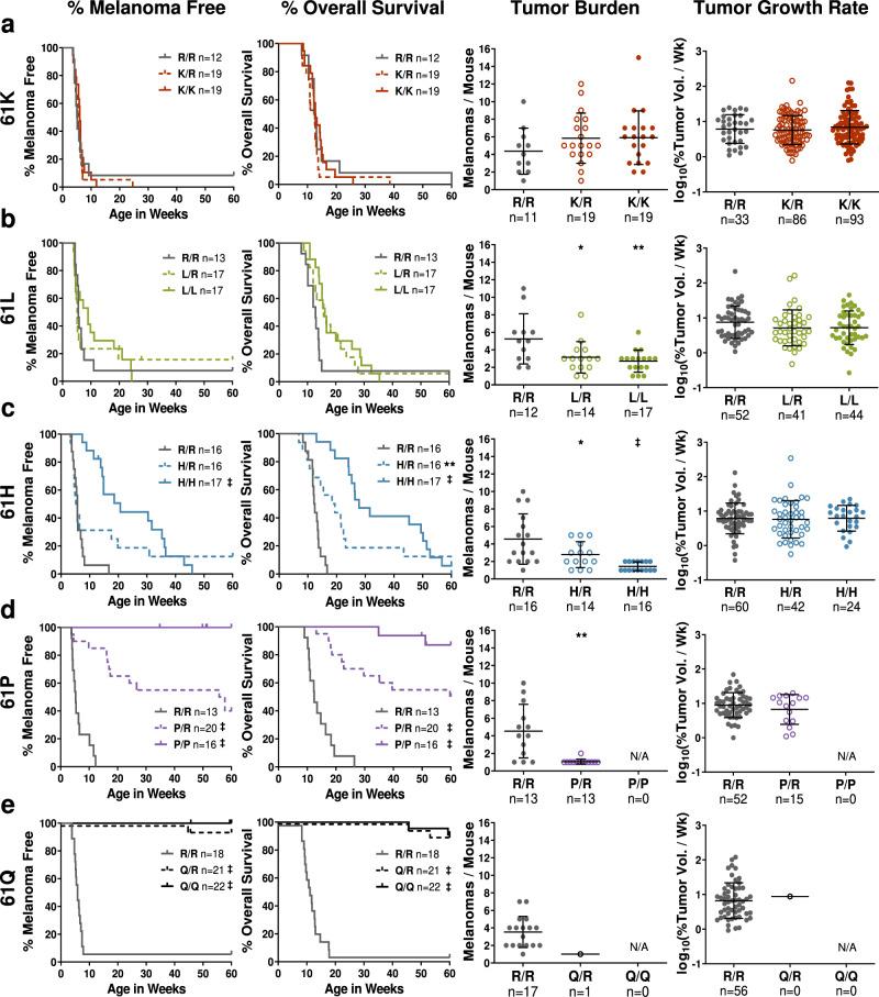 https://cdn.ncbi.nlm.nih.gov/pmc/blobs/ce97/9174180/c505fdf016a8/41467_2022_30881_Fig2_HTML.jpg