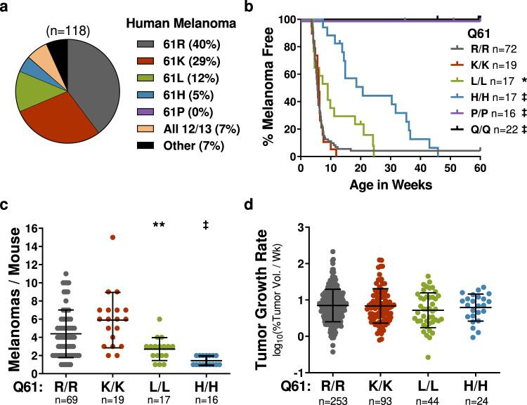 https://cdn.ncbi.nlm.nih.gov/pmc/blobs/ce97/9174180/e5f2b01c561b/41467_2022_30881_Fig1_HTML.jpg