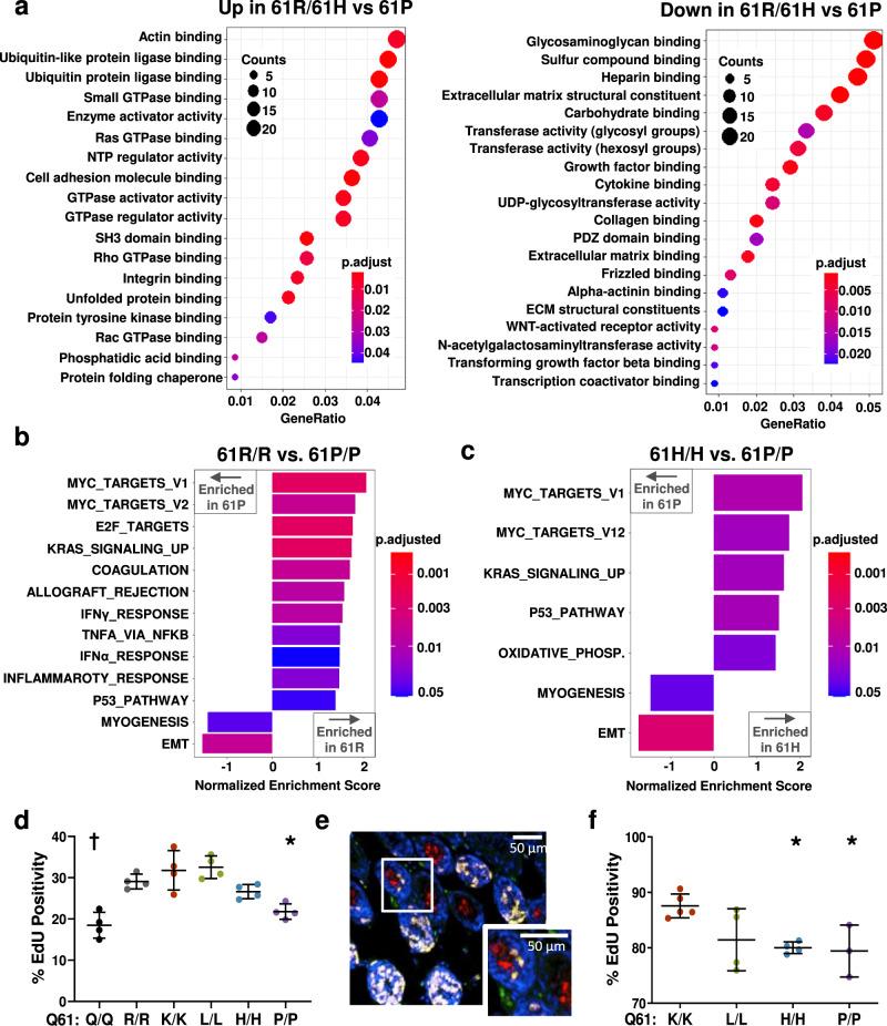 https://cdn.ncbi.nlm.nih.gov/pmc/blobs/ce97/9174180/fcef2b334e2b/41467_2022_30881_Fig3_HTML.jpg
