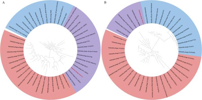 https://cdn.ncbi.nlm.nih.gov/pmc/blobs/ce98/12311074/658333aec49d/13568_2025_1919_Fig5_HTML.jpg