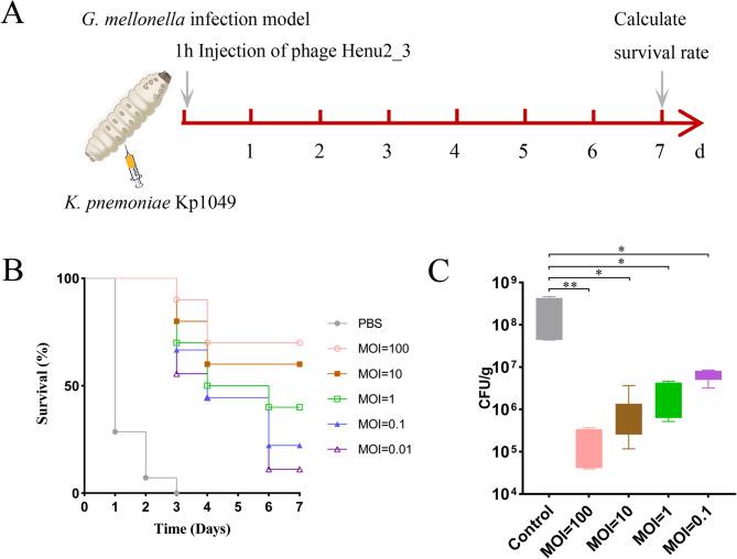 https://cdn.ncbi.nlm.nih.gov/pmc/blobs/ce98/12311074/e0d62a8e4db3/13568_2025_1919_Fig7_HTML.jpg