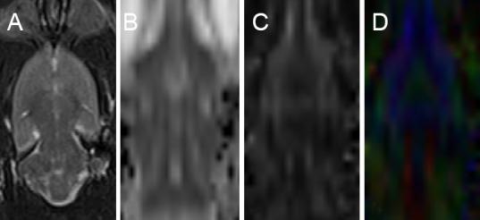 https://cdn.ncbi.nlm.nih.gov/pmc/blobs/ce98/5649470/40a339400b2e/NRR-12-1485-g003.jpg