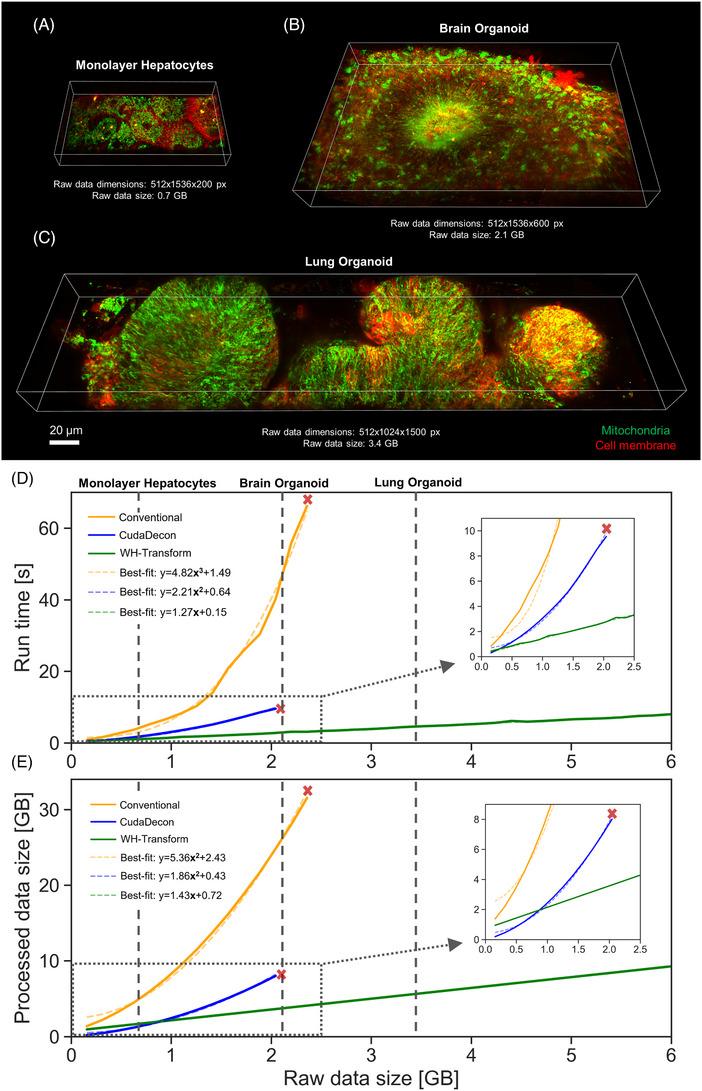 https://cdn.ncbi.nlm.nih.gov/pmc/blobs/ce9c/11733850/c4f605b60339/JMI-297-123-g002.jpg