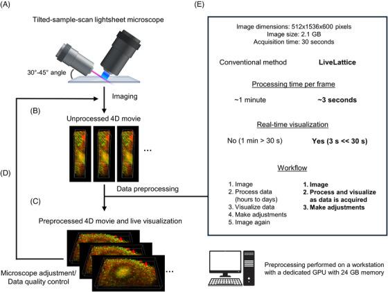 https://cdn.ncbi.nlm.nih.gov/pmc/blobs/ce9c/11733850/ff27f6cf526d/JMI-297-123-g005.jpg