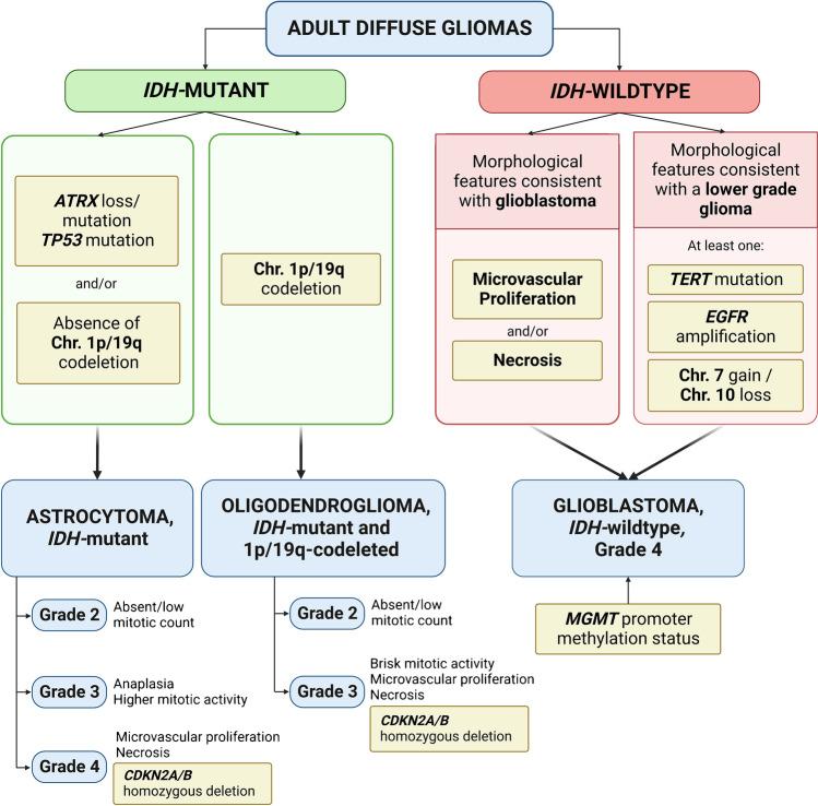 https://cdn.ncbi.nlm.nih.gov/pmc/blobs/ce9d/10948579/c05d02768a2a/428_2023_3632_Fig2_HTML.jpg