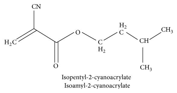 https://cdn.ncbi.nlm.nih.gov/pmc/blobs/ce9f/4662987/a224534909b8/IJBM2015-165428.sch.001.jpg