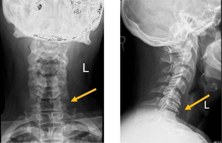 https://cdn.ncbi.nlm.nih.gov/pmc/blobs/ce9f/8141523/e3b6e540dd97/gr1.jpg