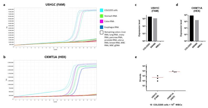https://cdn.ncbi.nlm.nih.gov/pmc/blobs/ce9f/8657034/9376b9c69e92/cancers-13-05881-g002.jpg