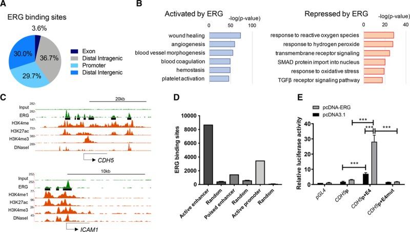 https://cdn.ncbi.nlm.nih.gov/pmc/blobs/cea0/6493686/2b700ee90281/res-124-1337-g001.jpg