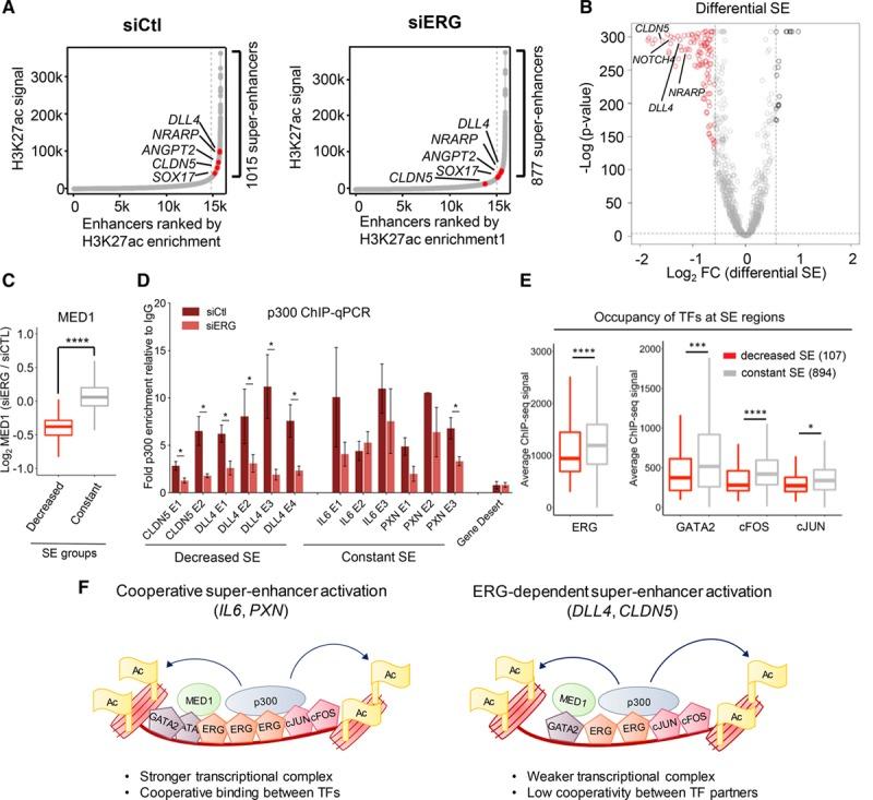 https://cdn.ncbi.nlm.nih.gov/pmc/blobs/cea0/6493686/6ad71f895ecf/res-124-1337-g007.jpg