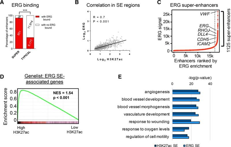 https://cdn.ncbi.nlm.nih.gov/pmc/blobs/cea0/6493686/be2627ab9edc/res-124-1337-g003.jpg