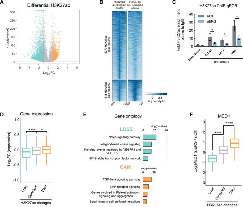 https://cdn.ncbi.nlm.nih.gov/pmc/blobs/cea0/6493686/ed3faa3cdb35/res-124-1337-g006.jpg