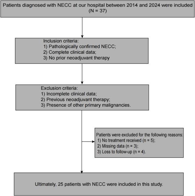 https://cdn.ncbi.nlm.nih.gov/pmc/blobs/cea3/12354512/ca91f2365782/fphar-16-1652092-g001.jpg