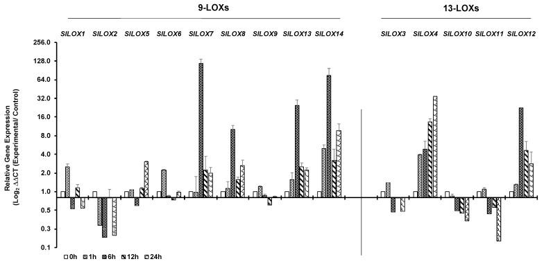 https://cdn.ncbi.nlm.nih.gov/pmc/blobs/cea3/6771027/ade2ac22a88f/genes-10-00683-g004.jpg