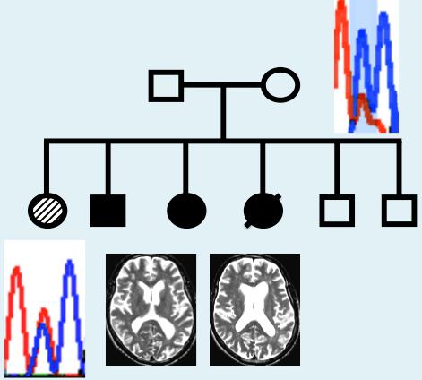 https://cdn.ncbi.nlm.nih.gov/pmc/blobs/cea6/4892751/cd67e2f694d1/aww066fig1g.jpg