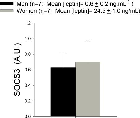 https://cdn.ncbi.nlm.nih.gov/pmc/blobs/cea8/2565105/6f64ce73c664/pone.0003466.g004.jpg