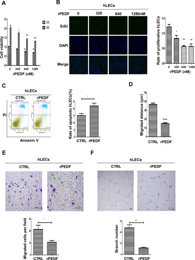 https://cdn.ncbi.nlm.nih.gov/pmc/blobs/cea8/7969934/e83249521bab/41419_2021_3583_Fig3_HTML.jpg