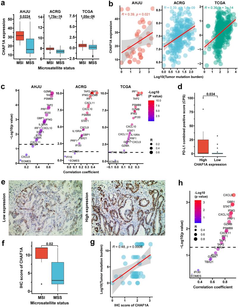 https://cdn.ncbi.nlm.nih.gov/pmc/blobs/cea9/10793680/0be33838cdde/KONI_A_2303195_F0002_OC.jpg