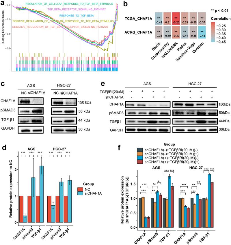 https://cdn.ncbi.nlm.nih.gov/pmc/blobs/cea9/10793680/a2ecda386130/KONI_A_2303195_F0006_OC.jpg