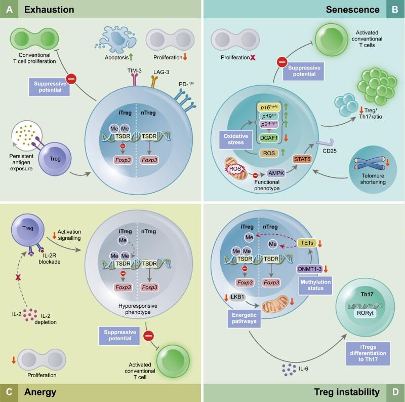 https://cdn.ncbi.nlm.nih.gov/pmc/blobs/ceab/10324551/c89a77a37358/uxad051_fig3.jpg