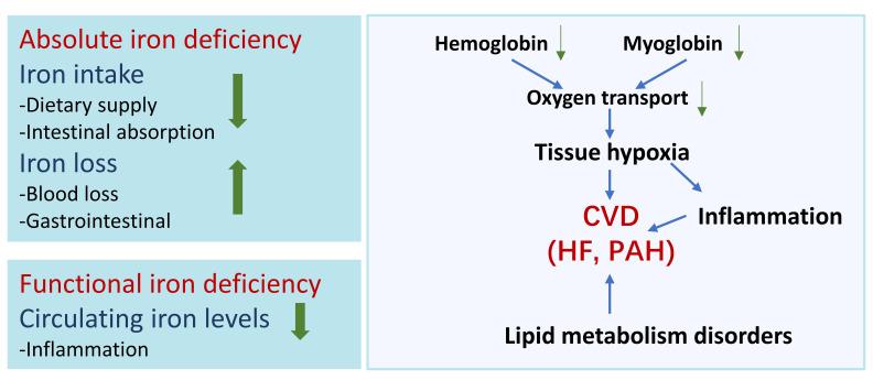 https://cdn.ncbi.nlm.nih.gov/pmc/blobs/ceab/11263000/d8da457f9c3f/2153-8174-25-1-016-g3.jpg
