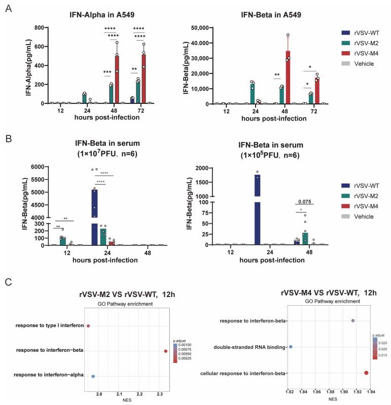 https://cdn.ncbi.nlm.nih.gov/pmc/blobs/ceab/12390721/4fa3487ca137/viruses-17-01062-g003.jpg