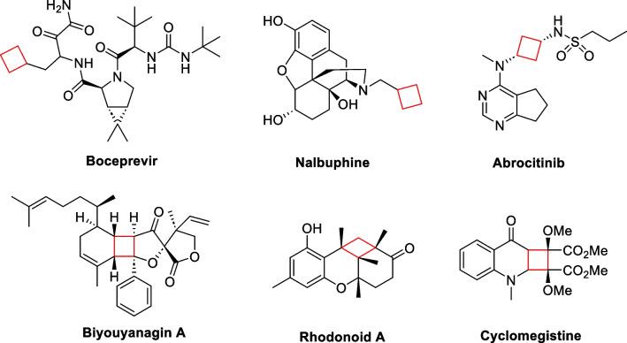 https://cdn.ncbi.nlm.nih.gov/pmc/blobs/ceac/11166626/667016464eac/13659_2024_457_Sch1_HTML.jpg