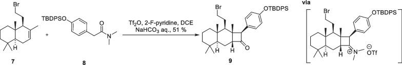 https://cdn.ncbi.nlm.nih.gov/pmc/blobs/ceac/11166626/776ee2b9cfb0/13659_2024_457_Sch3_HTML.jpg
