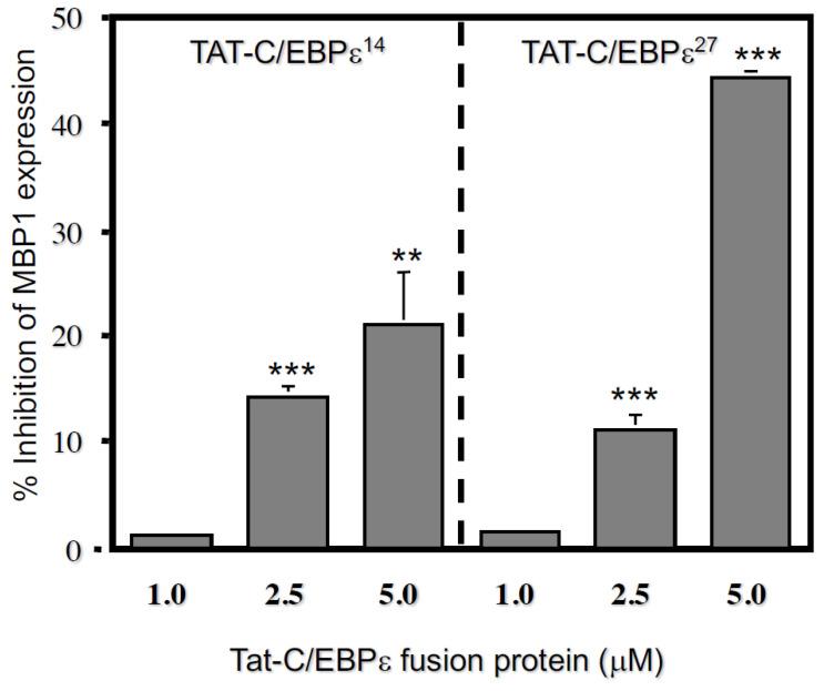 https://cdn.ncbi.nlm.nih.gov/pmc/blobs/ceb0/8657826/f832d3901d28/ijms-22-12689-g004.jpg