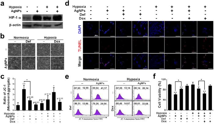 https://cdn.ncbi.nlm.nih.gov/pmc/blobs/ceb1/4751501/32268720ac07/srep21688-f4.jpg