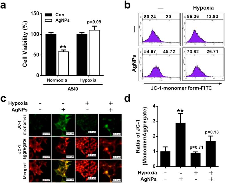https://cdn.ncbi.nlm.nih.gov/pmc/blobs/ceb1/4751501/32aa2a237c7d/srep21688-f2.jpg