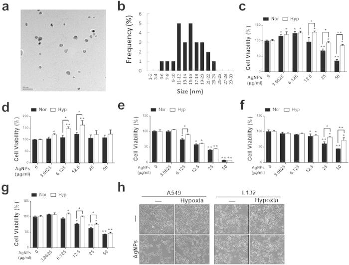 https://cdn.ncbi.nlm.nih.gov/pmc/blobs/ceb1/4751501/888d4975a149/srep21688-f1.jpg
