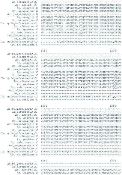 https://cdn.ncbi.nlm.nih.gov/pmc/blobs/ceb2/2999396/19652c960b57/fa01h_01.jpg