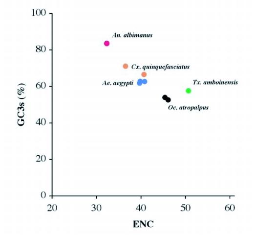 https://cdn.ncbi.nlm.nih.gov/pmc/blobs/ceb2/2999396/356510dc0d21/f08_01.jpg