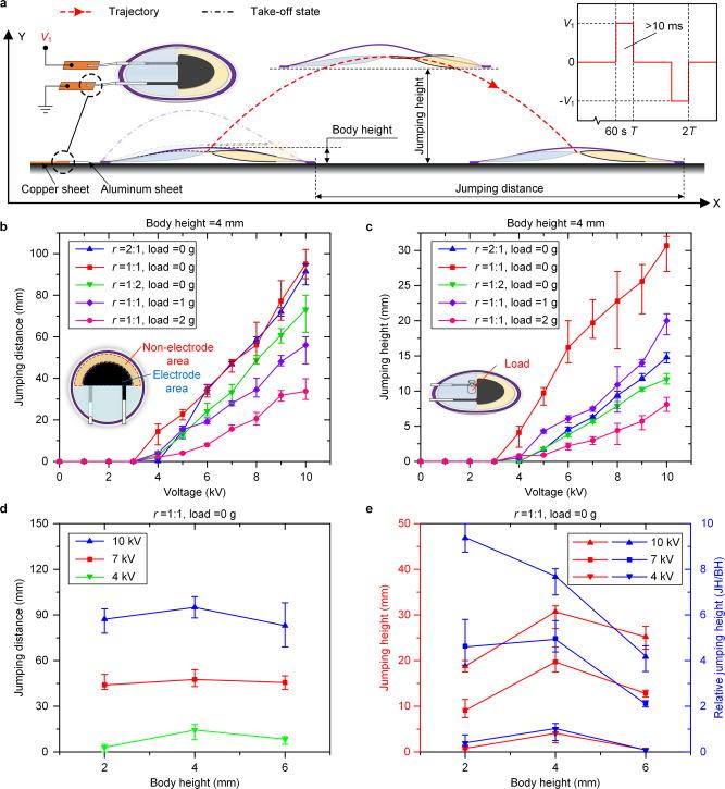 https://cdn.ncbi.nlm.nih.gov/pmc/blobs/ceb2/8651723/e45762b0817c/41467_2021_27265_Fig2_HTML.jpg